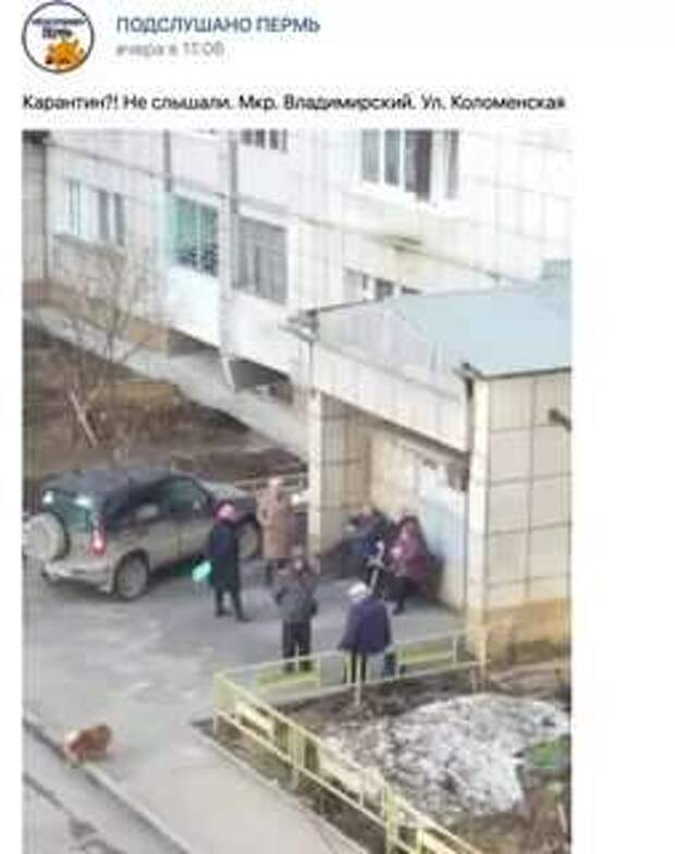 Неадекватный юмор из социальных сетей. Подборка chert-poberi-chert-poberi-35080503042020-3 картинка chert-poberi-35080503042020-3