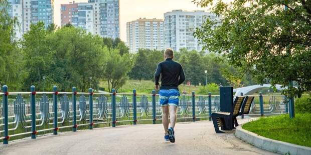 Проекты НКО дают возможность москвичам заниматься спортом бесплатно. Фото: М. Денисов mos.ru