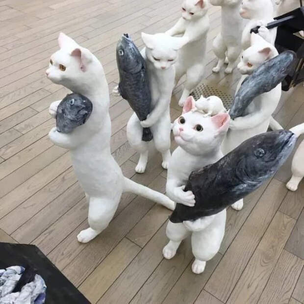мемас