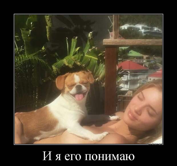 Демотиватор: И я его понимаю 