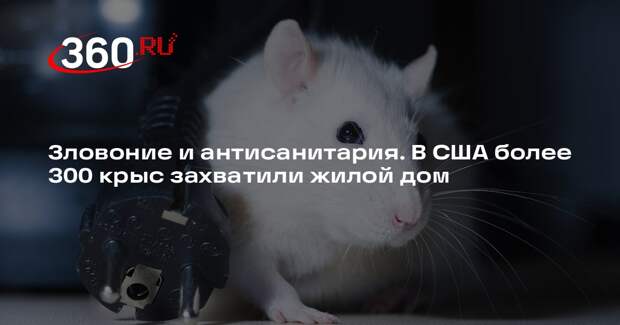В США более 300 ручных крыс захватили жилой дом
