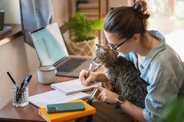 Почти 50% опрошенных россиян отвлекаются на домашние дела на удаленке