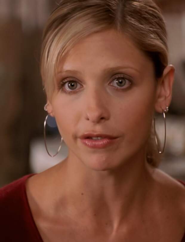 Buffy (Sarah Michelle Gellar) tries to get her point across on Buffy the Vampire Slayer Season 7 Episode 14.