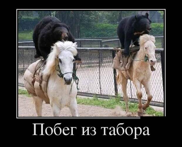 Демотиваторы
