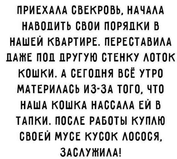 Подборка из 12 смешных историй подарит вам хорошее настроение