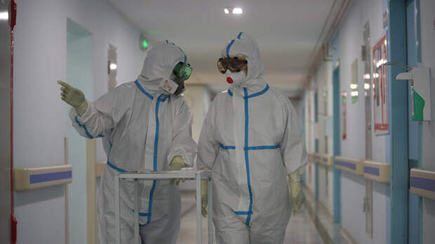 Онищенко сообщил о местном распространении оспы обезьян в России