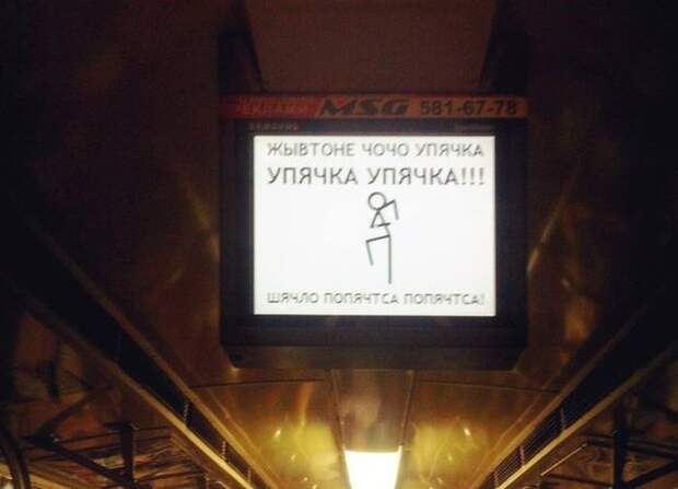 Прикольные картинки Прикольные картинки