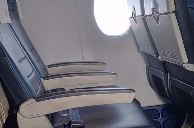 PYOK: пьяный «пассажир из ада» укусил стюардессу — суд ограничился условным наказанием