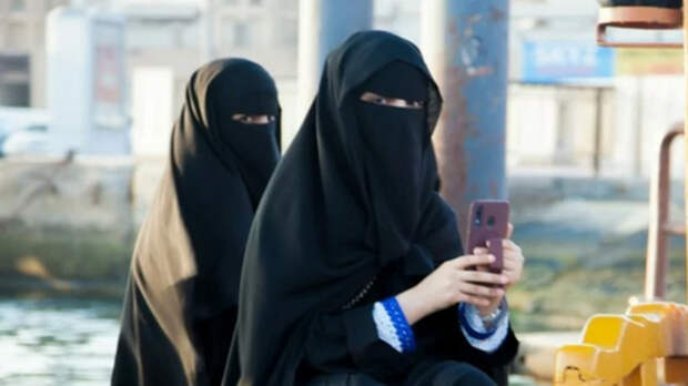 Вице-спикер Госдумы Даванков предложил дать регионам право запрещать ношение никабов