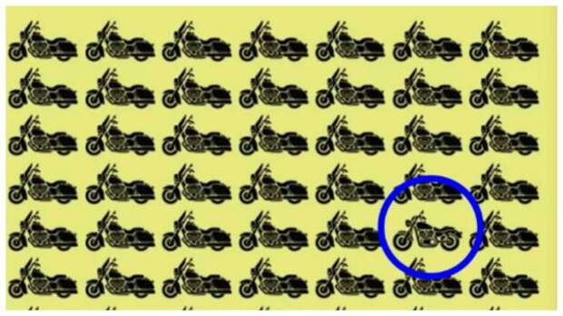 Тест на внимательность: найдите за 30 секунд какой мотоцикл отличается от других