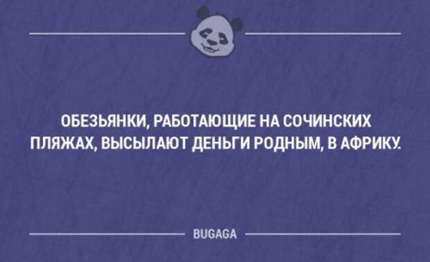 Прикольные фразы в картинках с надписями. Часть 78 (17 шт)