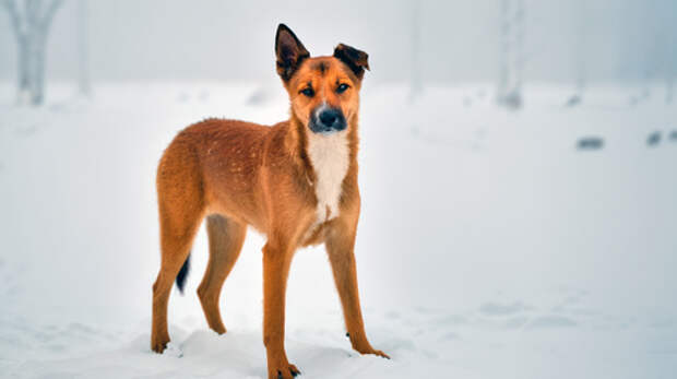 Преступление