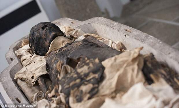 Плод любви фараона? Египетская мумия, которую считали мертвой птицей, оказалась ребенком археология, египет, история, мумии, открытия