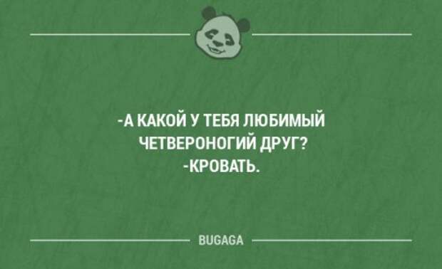 Прикольные высказывания в картинках с надписями. Часть 44 (18 шт)