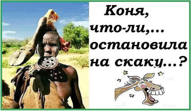 - Петрович, тебе налить водки? - Я не пью на работе, но национальность не позволяет отказаться!