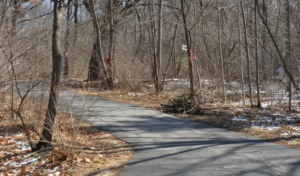 Строительства в Дендрарии не будет — минприроды Хабаровского края