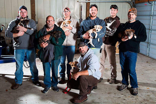bachelor-party-stray-dog-puppies-5