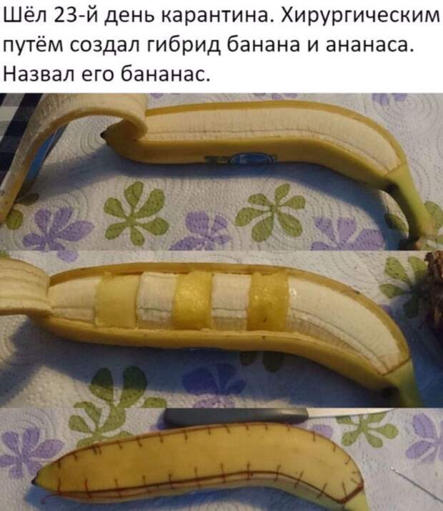 12 жизненных мемов про самоизоляцию