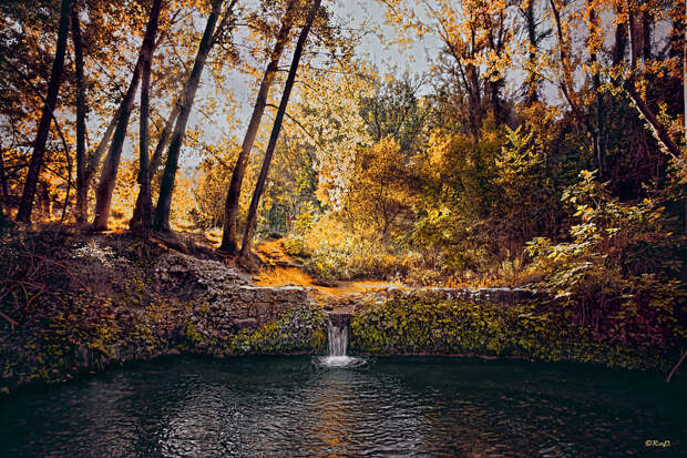 Autumn by Ramón de Gandía on 500px.com