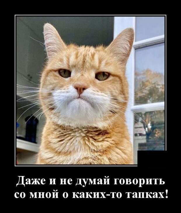 www.vsyako.net