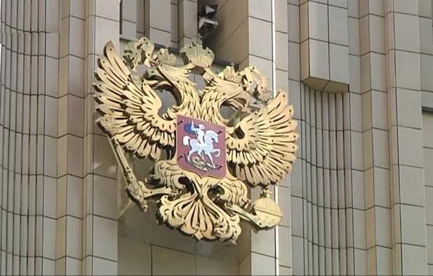 Московские птички 14
