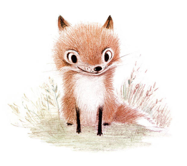 Cute Animal Illustration