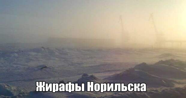 Прикольные картинки Прикольные картинки