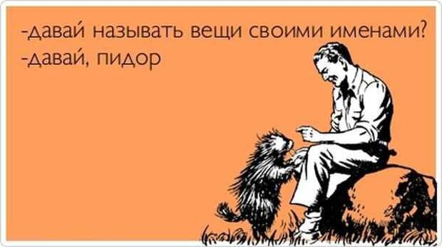 Подборка "аткрыток" Подборка "аткрыток" аткрытки, юмор