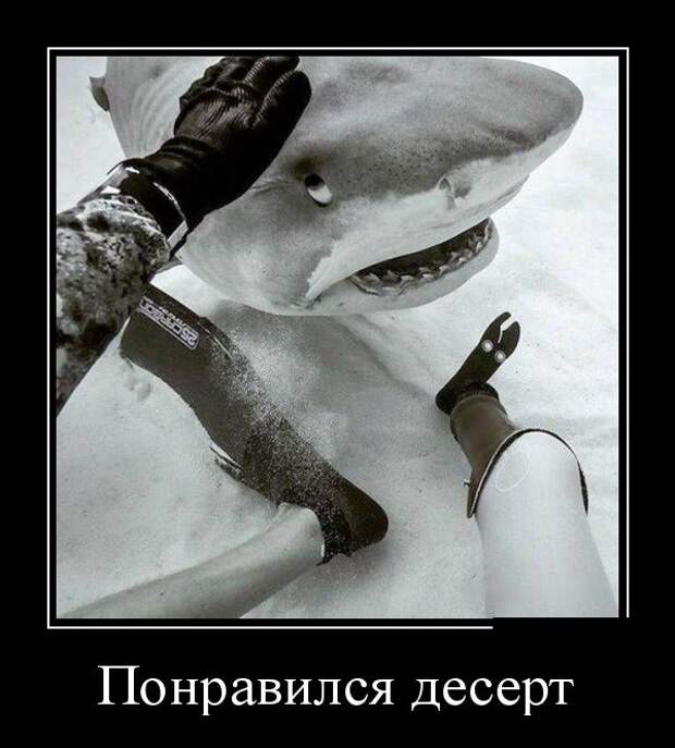 Демотиваторы (30 фото)