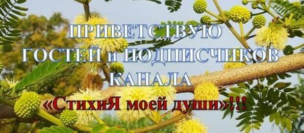 Как я ходила на тайский массаж и определила для себя 4 полезных момента
