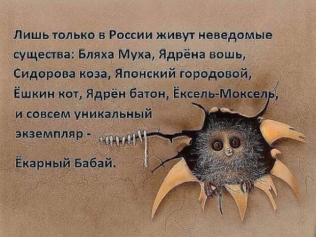 perly-kartinki-smeshnye-kartinki-fotoprikoly