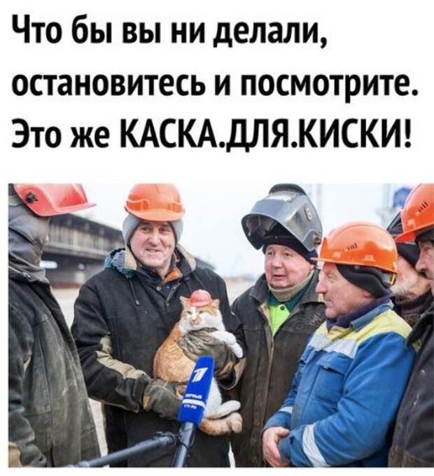 С миру по нитке...