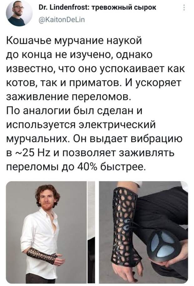 твит про мурчание