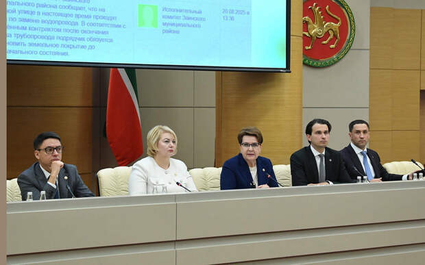 Проблема тиз арада хәл ителсен өчен кая язарга? ТР Цифрлаштыру министрлыгы киңәшләре