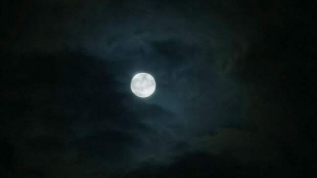 Суперлуние над Барнаулом / Фото: Екатерина Смолихина / amic.ru