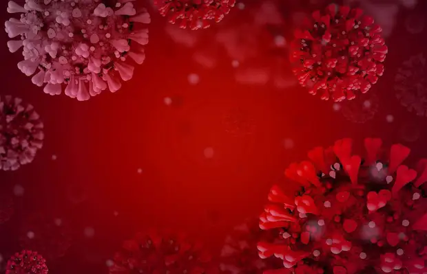 Смертность из-за коронавируса растет в Петербурге третий день подряд