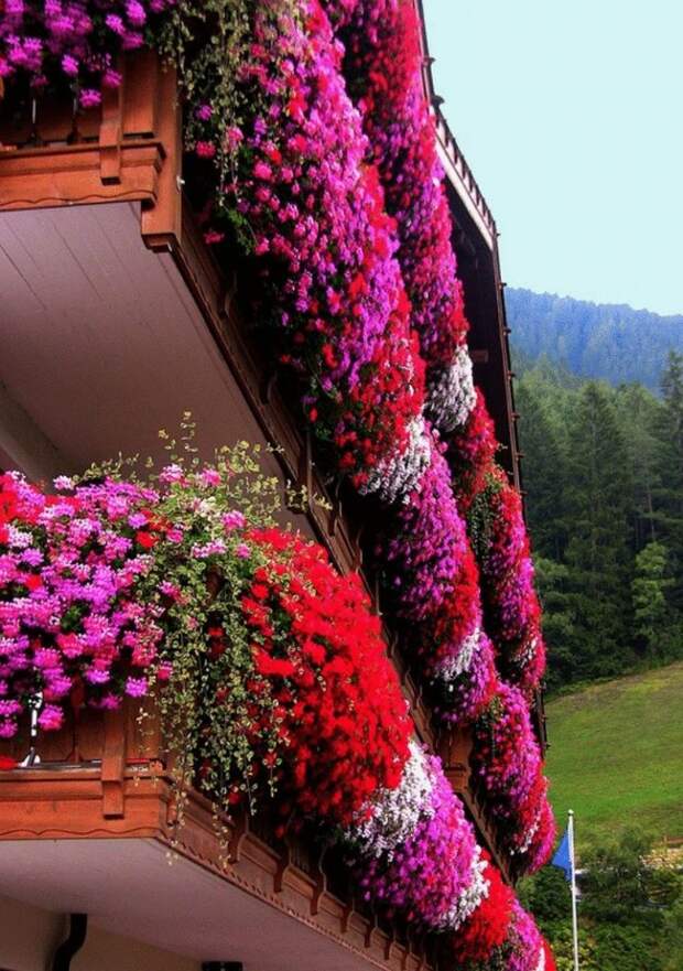 Самые красивые дома на планете, утопающие в цветах