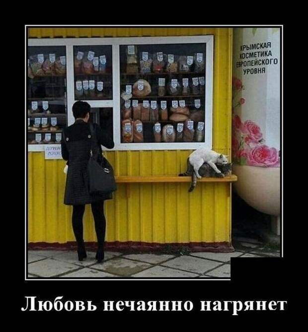 Демотиваторы (30 фото)