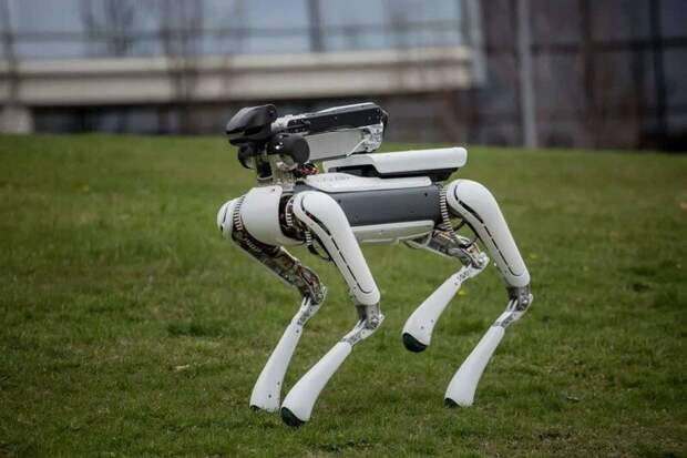 Робособака SpotMini в мире, изобретение, люди, наука, роботы, технология