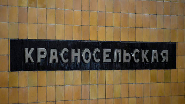 Засмотрелся в телефон: пассажир московского метро упал с платформы на пути