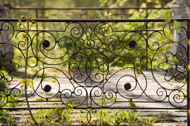 Ажурная ограда - украшение любого участка