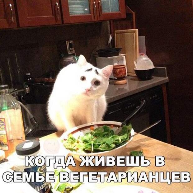 Позитивные и интересные картинки с надписями (10 фото) Позитивные и интересные картинки с надписями (10 фото)