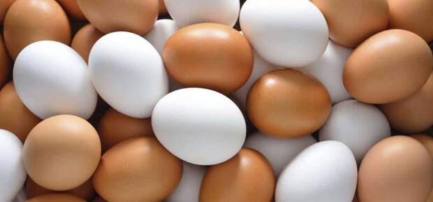 Яйца и их расцветка мифы, наука, неожиданно, разоблачения