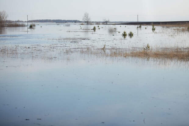 Уровень воды в реке Тобол в районе Кургана достиг 752 сантиметров