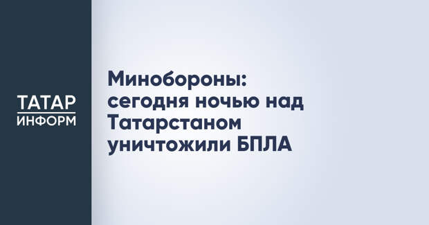 Минобороны: сегодня ночью над Татарстаном уничтожили БПЛА