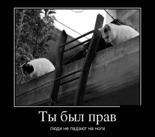 Демотиваторы (20 фото)