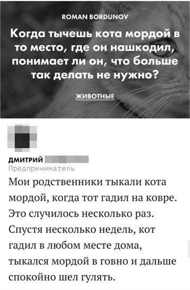 Зубодробительный юмор из социальных сетей