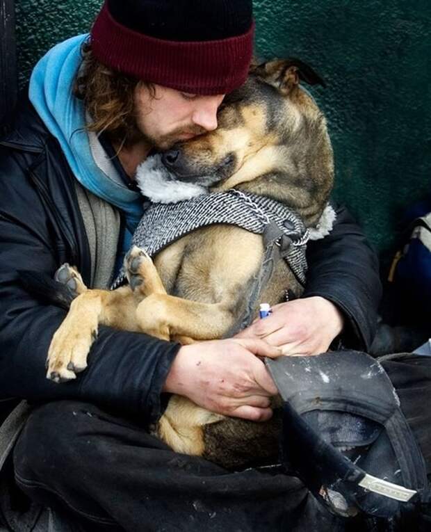 Сильные фото бездомных и их собак друзья, собака - друг человека, хозяин