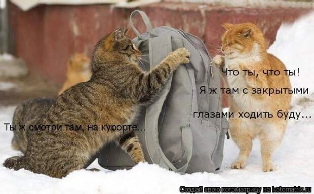 Мысли вслух :)
