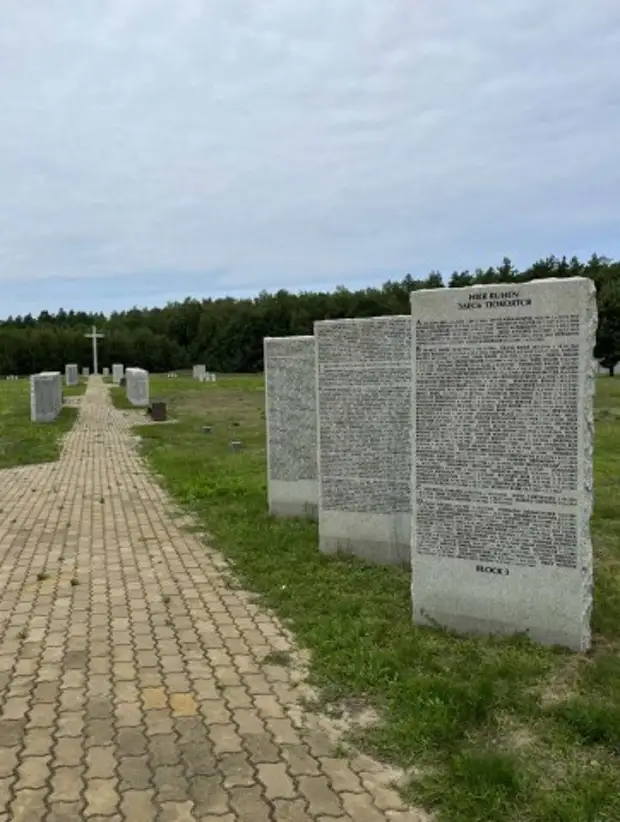 Немецкое воинское кладбище. Кладбище. Могилы военных. Кладбища российских военных.